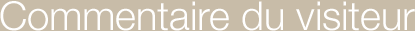 Commentaire du visiteur