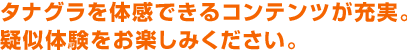 タナグラを体感できるコンテンツが充実。疑似体験が楽しめます。