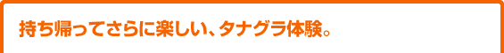 持ち帰ってさらに楽しい、タナグラ体験。