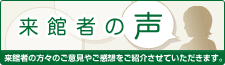 来館者の声